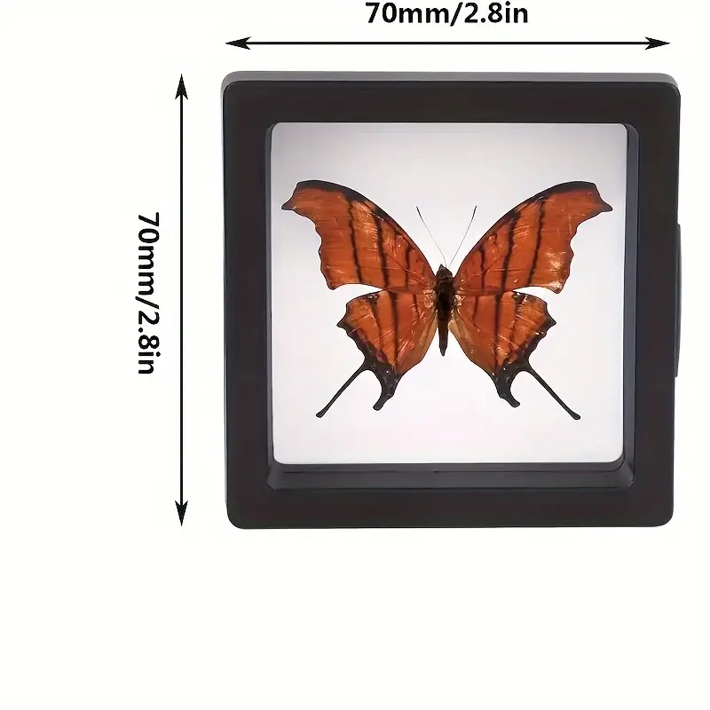 20 ชิ้น Clearview 3D ลอยจอแสดง - Token Tray Organizer บทวิจารณ์และราคา